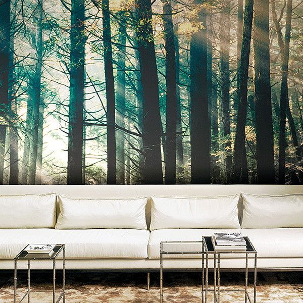 carta-da-parati-canadian-forest-london-art-solin-crispiano-taranto